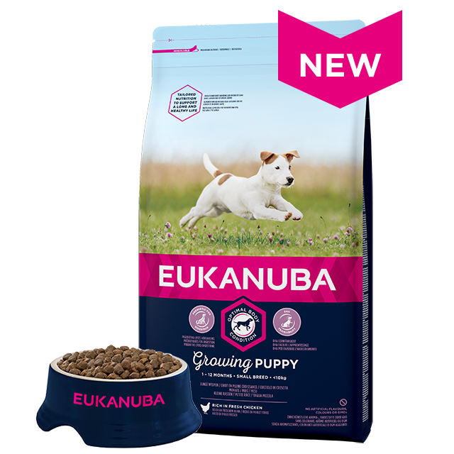 eukanuba puppy small breed 15kg