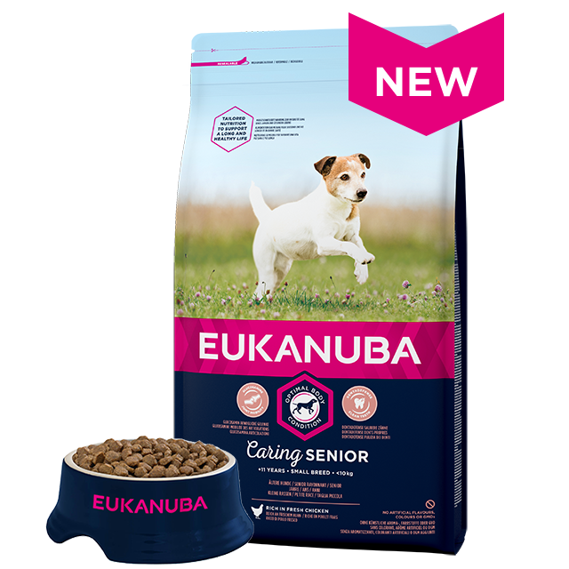 eukanuba yorkshire terrier dog food